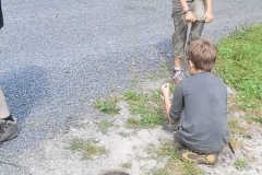 received_1781441885401328