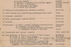 organizacnizajisteni_1965