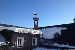 received_1839229716289211