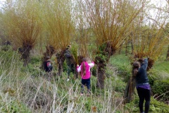 img_20170416_1513471